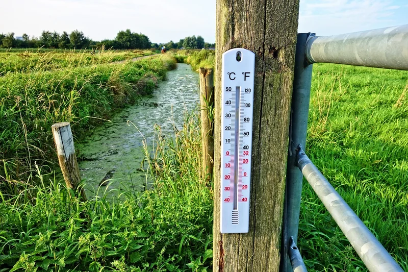 Comment lire la température des pneus pour ajuster la pression